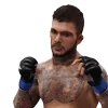 Стикер 14 Ufc Stars