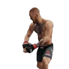 Стикер 11 Ufc Stars