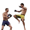 Стикер 34 Ufc Stars