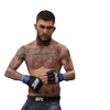 Стикер 6 Ufc Stars