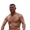 Стикер 33 Ufc Stars