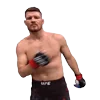 Стикер 30 Ufc Stars