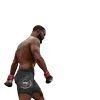 Стикер 17 Ufc Stars