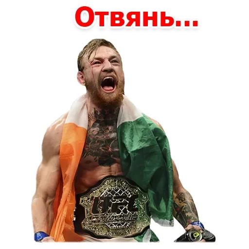 😡 Стикер «Хабиб Нурмагомедов & Конор Макгрегор» для Telegram