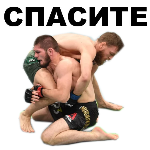 😡 Стикер «Хабиб Нурмагомедов & Конор Макгрегор» для Telegram