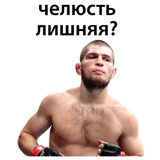 😌 Стикер «Хабиб Нурмагомедов & Конор Макгрегор» для Telegram