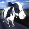 Стикер 40 Ultimate Memes 2