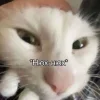 Стикер 14 Ultimate Memes 2