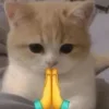 Стикер 25 Ultimate Memes 2