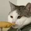 Стикер 23 Ultimate Memes 2
