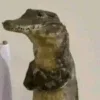 Стикер 26 Ultimate Memes 2