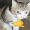 Стикер 24 Ultimate Memes 2