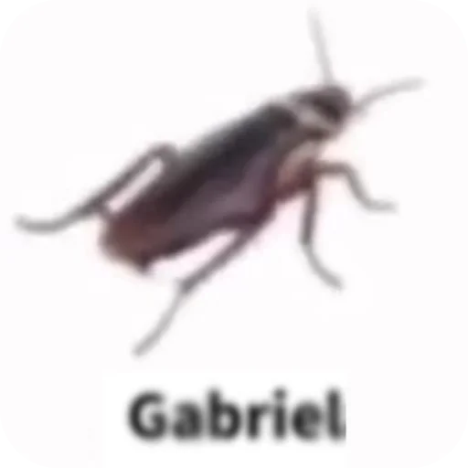 🐞 Стикер «Ultracum» для Telegram