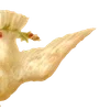 🌟 Эмодзи «╔══ஓ๑ ๑ஓ══╗ ⋅⋆⋄ ⋅⋆⋄» для Telegram