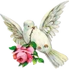 🌟 Эмодзи «╔══ஓ๑ ๑ஓ══╗ ⋅⋆⋄ ⋅⋆⋄» для Telegram