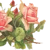 🌟 Эмодзи «╔══ஓ๑ ๑ஓ══╗ ⋅⋆⋄ ⋅⋆⋄» для Telegram