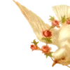 🌟 Эмодзи «╔══ஓ๑ ๑ஓ══╗ ⋅⋆⋄ ⋅⋆⋄» для Telegram