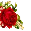 🌟 Эмодзи «╔══ஓ๑ ๑ஓ══╗ ⋅⋆⋄ ⋅⋆⋄» для Telegram
