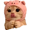 Стикер 19 Animals #animals #cute #girl