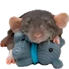 Стикер 8 Animals #animals #cute #girl