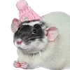 Обложка набора Animals #animals #cute #girl