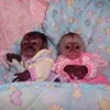 Стикер 57 Animals #animals #cute #girl