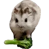 Стикер 22 Animals #animals #cute #girl