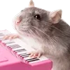Стикер 5 Animals #animals #cute #girl