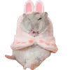 Стикер 26 Animals #animals #cute #girl
