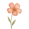 🌷 Эмодзи «Зелёные буквы» для Telegram