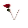 Стикер 13 Vendetta
