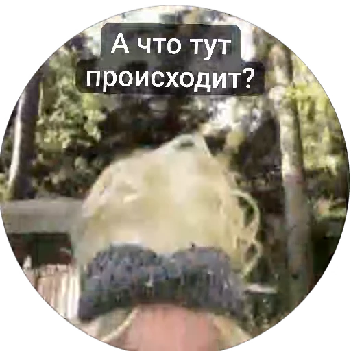 🌟 Стикер «Vadim_rush» для Telegram