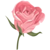 Стикер 17 💘🌹🎈🔒💋💐💘🧃🧁💘