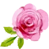 Стикер 7 💘🌹🎈🔒💋💐💘🧃🧁💘