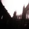 Стикер 16 Vampire