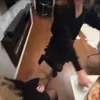 Стикер 6 Dasha228Play