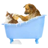🛁 Эмодзи «Barhroom- набор аксессуаров ванной комнаты» для Telegram
