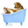 Стикер 10 𝙱𝚊𝚝𝚑𝚛𝚘𝚘𝚖