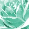 Стикер 14 ️ Варка из геншина