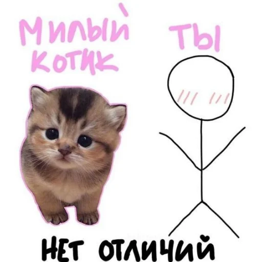 💌 Стикер «Важное послание» для Telegram