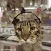 Стикер 61 Котики3333