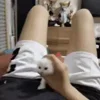 Стикер 59 Котики3333