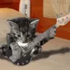 Обложка набора Котики3333