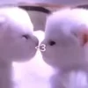 Стикер 21 Котики3333