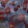 Стикер 34 Videonirvana
