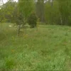 Стикер 43 😦 Видео набор эмоджи с Батей Викторовичем из Ютуба