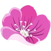 🌸 Эмодзи «Синие буквы, цветы, иконки» для Telegram