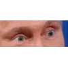 Стикер 51 Vladimir Putin