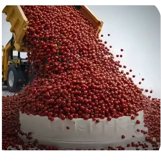 🫥 Стикер «вишенка на cake» для Telegram