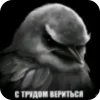 Стикер 53 Вряд